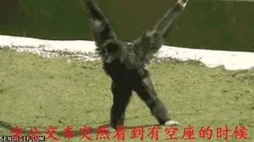 坐公交车突然看到有空座的时候