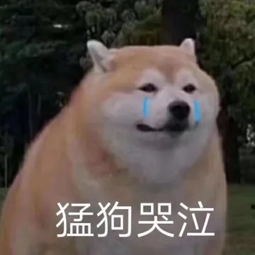 柴犬（肥）哭泣，猛狗哭泣表情包