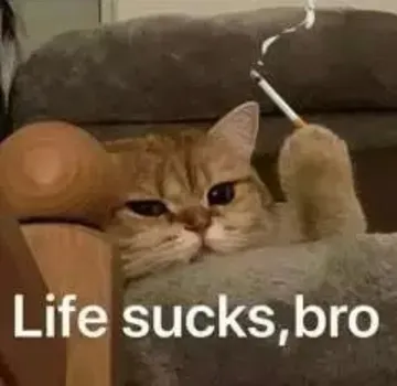 Life sucks,bro