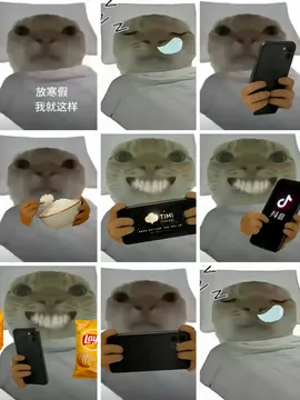哈基米放寒假在家表情包（10种状态）