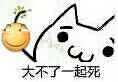 大不了一起死！（滑稽炸弹）