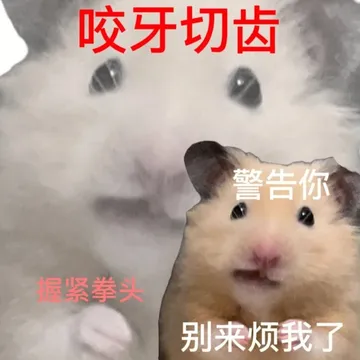 咬牙切齿警告你握紧拳头别来烦我了