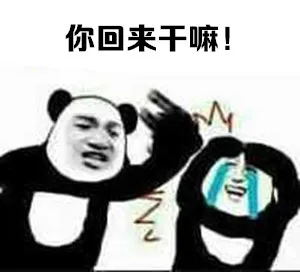 你回来 干嘛！