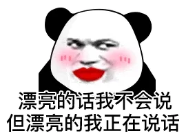 漂亮的话我不会说但漂亮的我正在说话(熊猫头表情包)