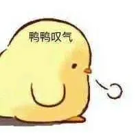 鸭鸭叹气