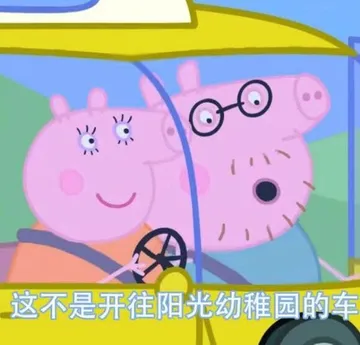 这不是开往阳光幼稚园的车