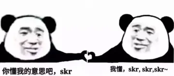 你懂我的意思吧，skr，我懂的，skr skr