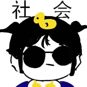 社会（小黄鸭）
