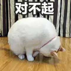 对不起