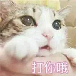 打你哦