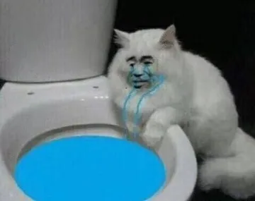 猫咪坐在马桶旁边哭