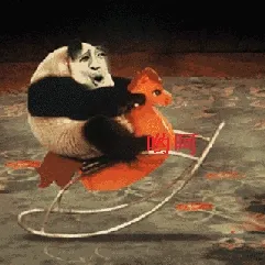 哟呵.熊猫人玩木马摇摇椅