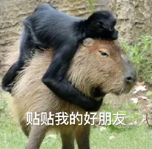 贴贴我的好朋友