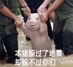 你：我不要面子的啊？