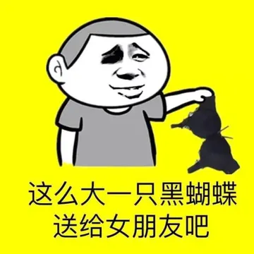 这么大的一只黑蝴蝶，送给女朋友吧！