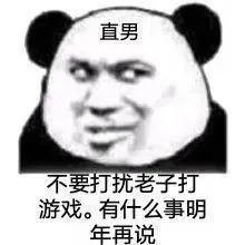 （熊猫头直男表情包）不要打扰老子打游戏有什么事明年再说