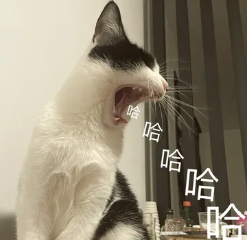 🐄🐱 奶牛猫的搞笑表情包大放送!