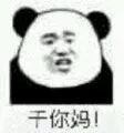 一组熊猫头怼人表情包