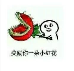 奖励你一朵小红花
