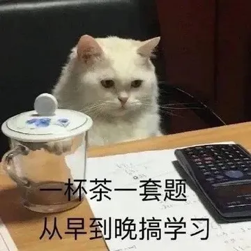 一杯茶一套题从早到晚搞学习