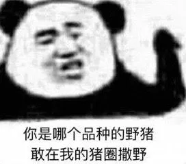 你是哪个品种的野猪