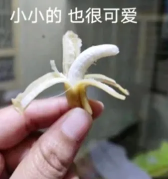 小小的也很可爱表情包
