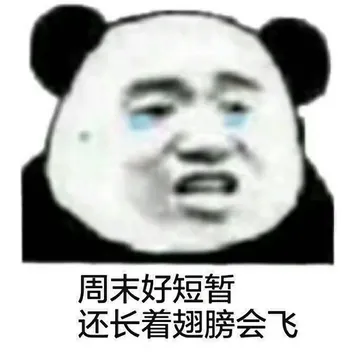周未好短暂.还长着翅膀会飞