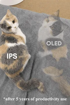 IPS Vs. OLED Explained For The Car Enthusiasts *After 5 Years Of Productivity Use
