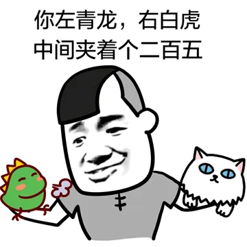 你左青龙，右白虎 中间夹了个二百五