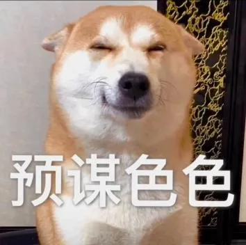 不可以色色表情包-可以色色（柴犬）