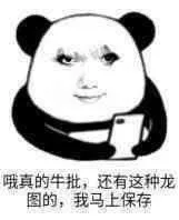 哦真的牛批，还有这种龙图的，我马上保存