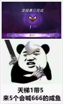 定级赛已完成.天梯1带5.来5个会喊666的咸鱼!(熊猫头)