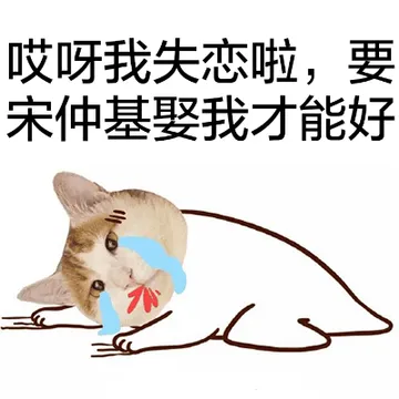 哎呀，我失恋啦，要宋仲基娶我才能好