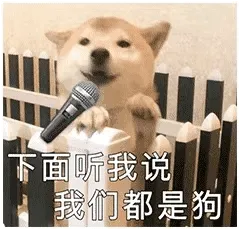 下面听我说，我们都是狗