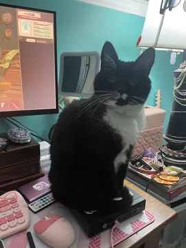 She Likes To Warm Her Ass On My PC