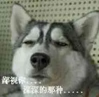 鄙视你.深深的那种