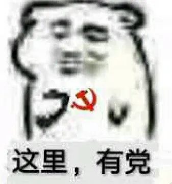 这里,有党(坏坏心里)