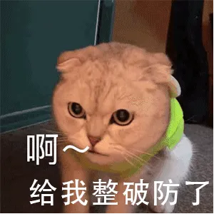杂七杂八的表情包I 啊给我整破防了