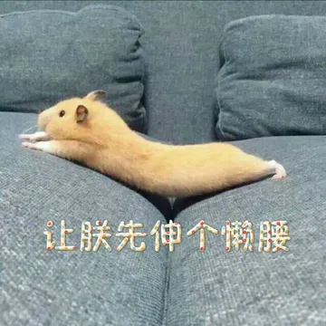让朕先伸个懒腰(老鼠)