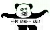 秘技.乌鸦坐飞机!