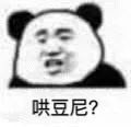 哄豆尼?