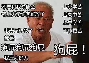 狗屁狗屁狗屁