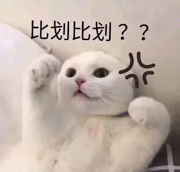 比划比划??