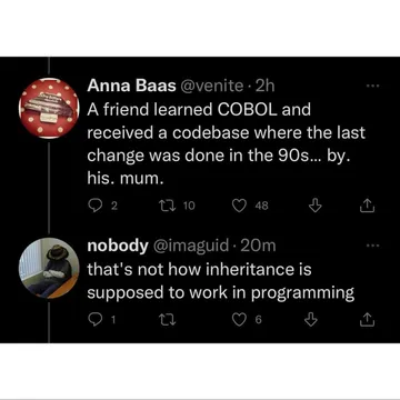 Inheritance Works Differently In Programming