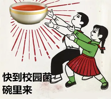快到校园菌碗里来