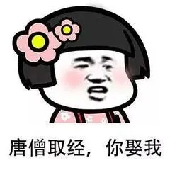 唐僧取经.你娶我