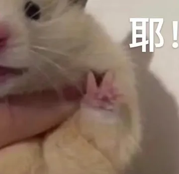 耶！