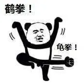 鹤拳！龟拳！