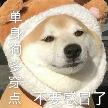 单身狗多穿点不要感冒了