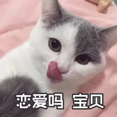 恋爱吗?宝贝